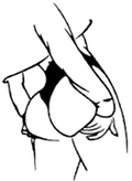 Ass Sticker