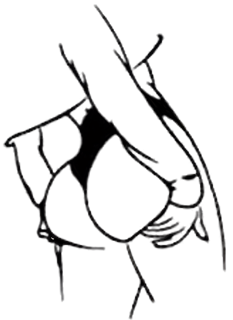 Ass Sticker